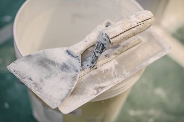 Best Attic Mold Removal  in West Yellowstone, MT