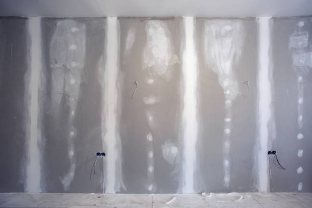Best Asbestos and Lead Testing During Mold Inspection  in West Yellowstone, MT
